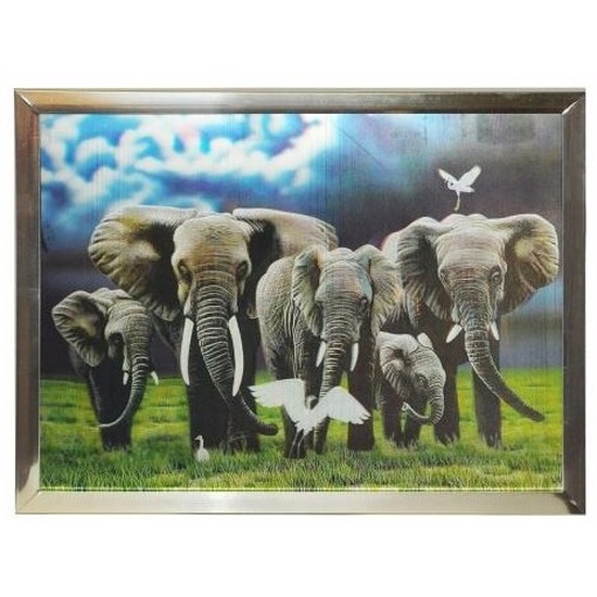 3 Dimensionale poster in lijst olifanten