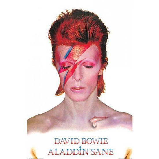 Pop idool poster David Bowie Aladdin Sane