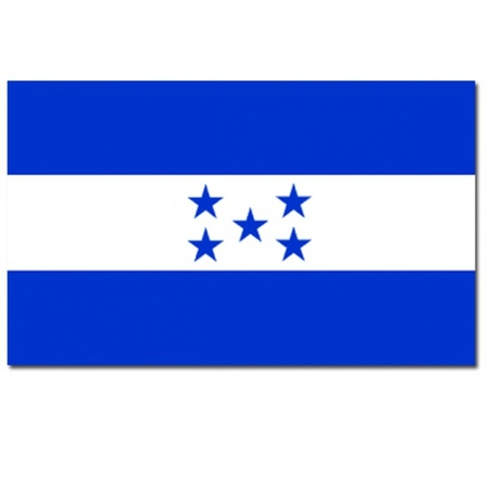Feestartikelen Luxe vlag Honduras