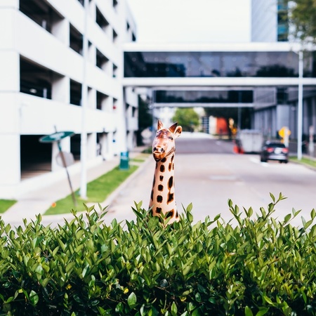 Opblaasbare giraffe 90 cm decoratie